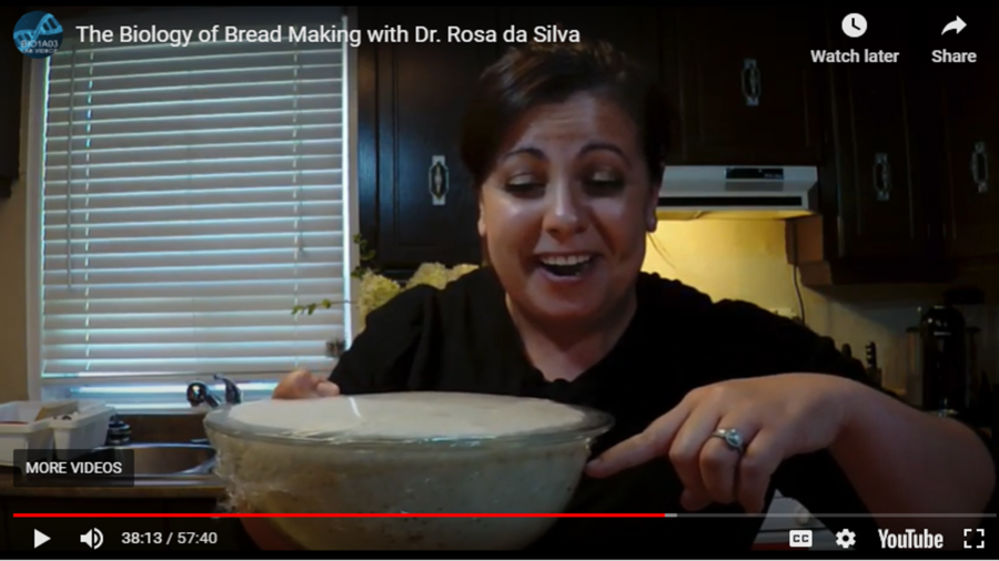 Rosa breadmaking