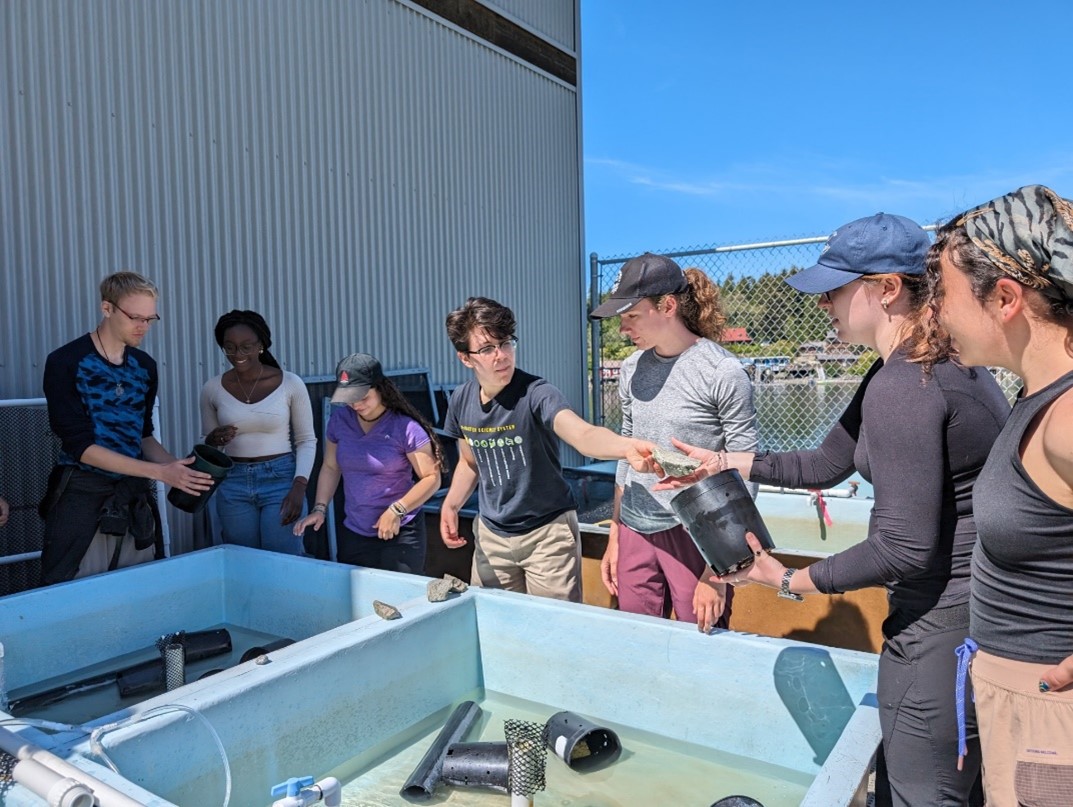 The Mac crew of undergrads carrying out their experiment at the Bamfield Marine Sciences Centre