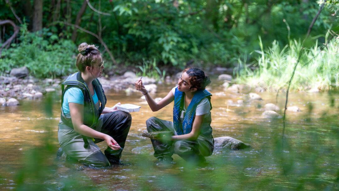 Water research students